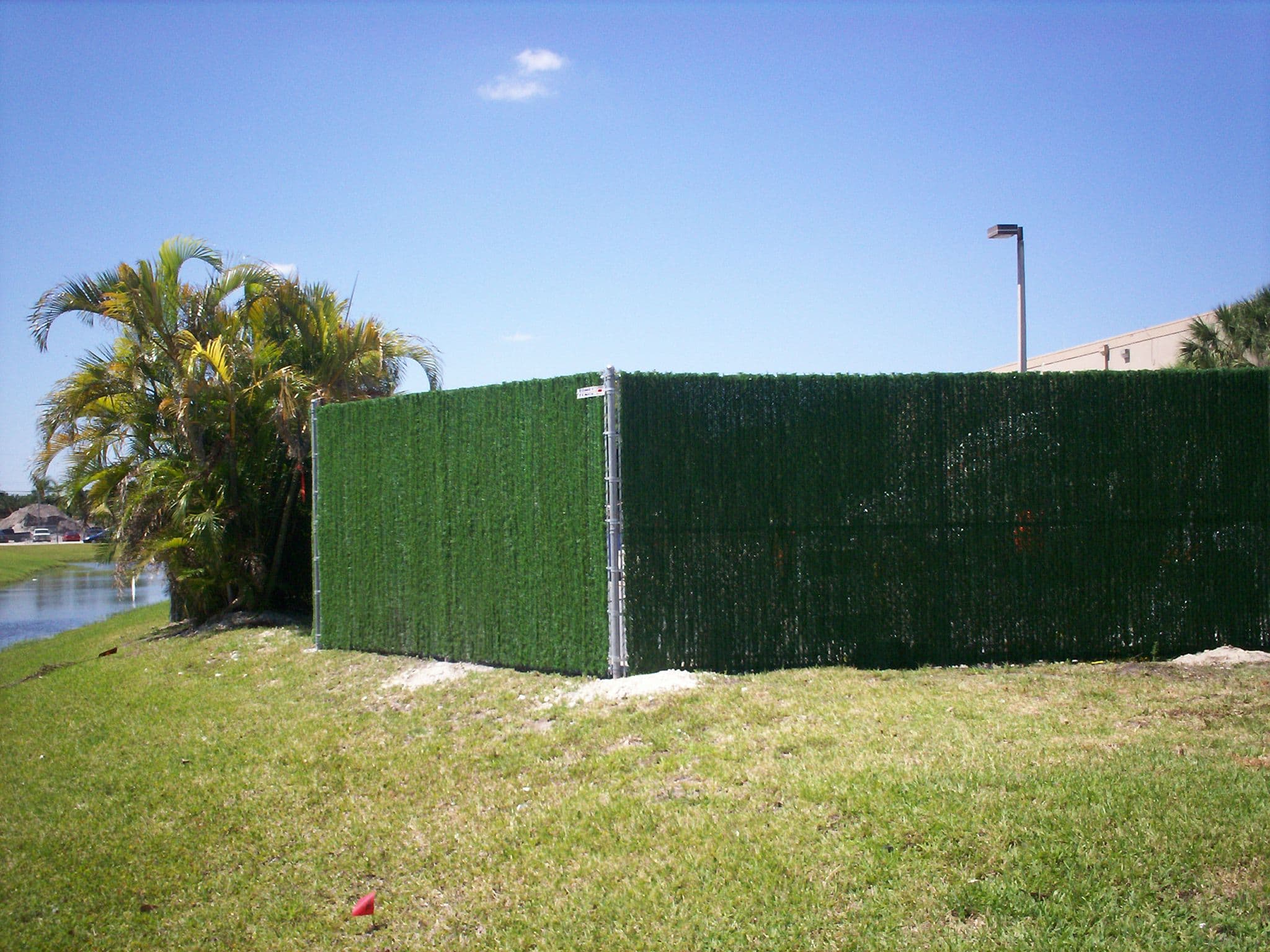 Privacy fence screening with greenery along a backyard lot line