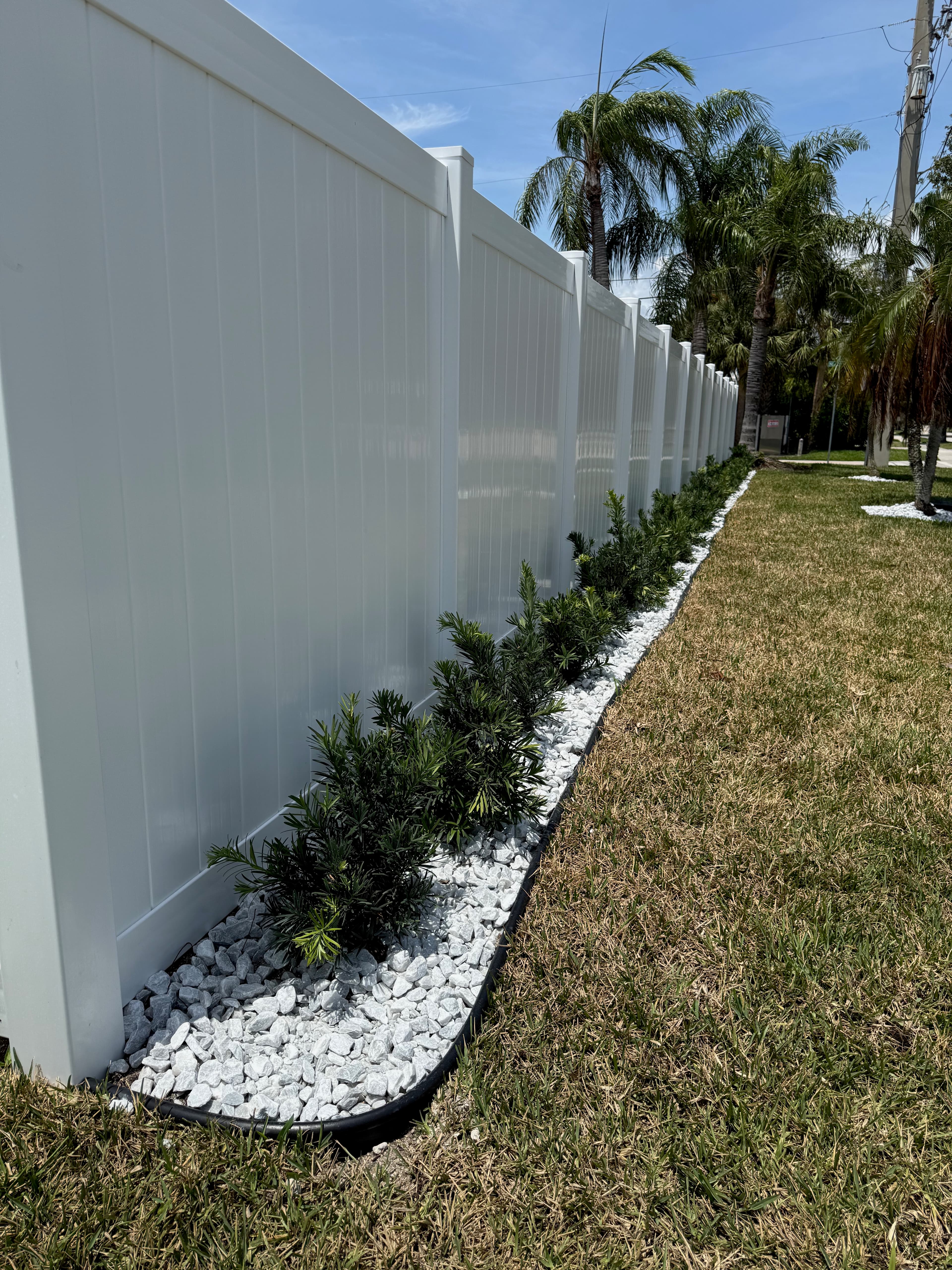 White vinyl privacy fence with white gravel border and podocarpus shrubs