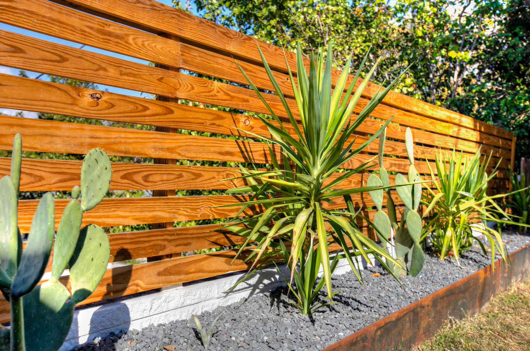 Stained horizontal wood-slat fence with desert landscaping and corten edging